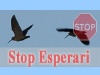  - STOP ESPERARI !!!