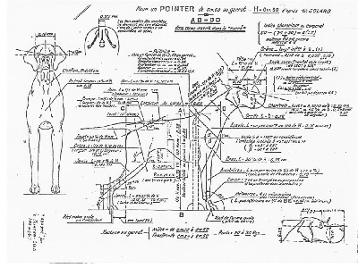 du bois du Ligoures - Standard du Pointer